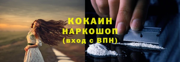 хмурый Алексин