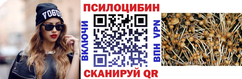 сколько стоит  Жуков  Галлюциногенные грибы Cubensis 